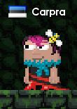 Beehairpin