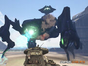 Scarab