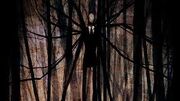 Slenderhouse