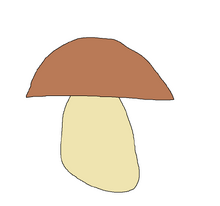 Prawdziwek