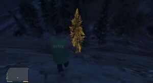 Goldentree