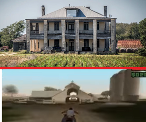 HewittFarmBlueberry