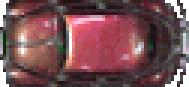 Bug-GTA1