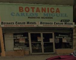 Botanica-2