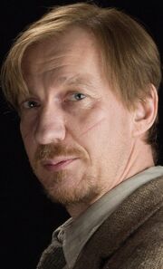 Remus-Lupin-remus-lupin-14289878-487-803-1-
