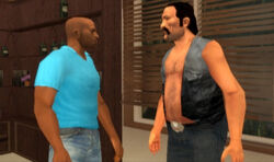 NicePackage-GTAVCS-1-