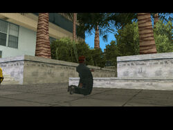 TheJob-GTAVC5-1-