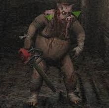 Pig