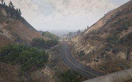 CatfishView-GTAV