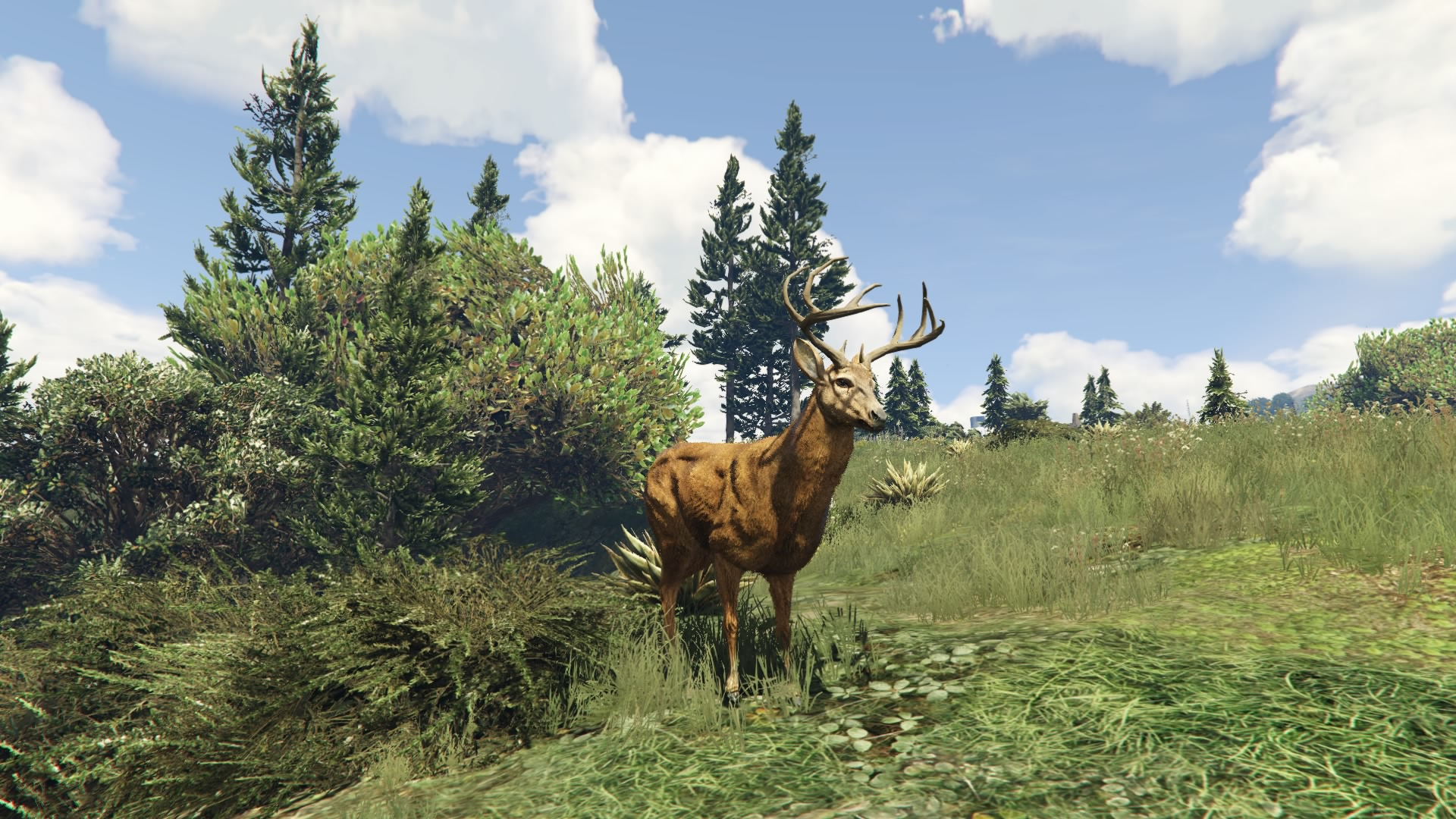 deer gta wiki fandom