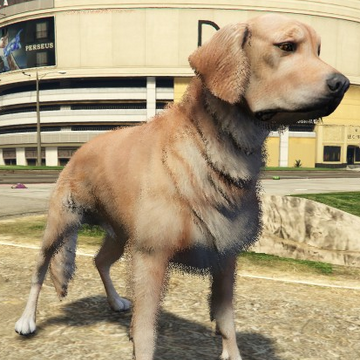 Dogs Gta Wiki Fandom