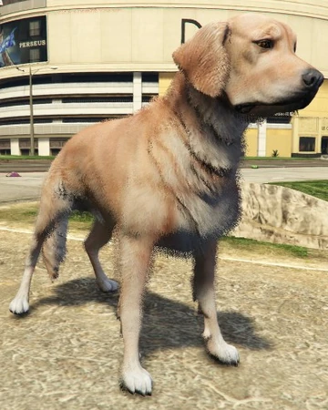 Dogs Gta Wiki Fandom