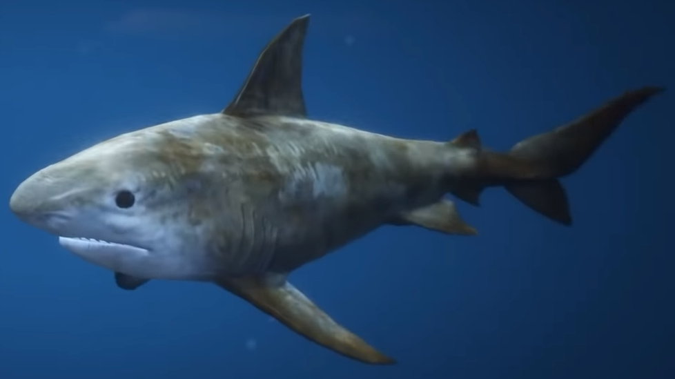 gta 5 sea animals location