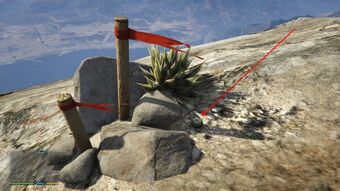 Peyote Plants In Gta V Gta Wiki Fandom