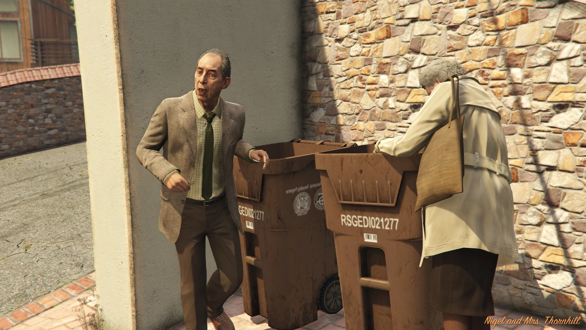 Найджел и миссис Торнхилл в GTA 5
39