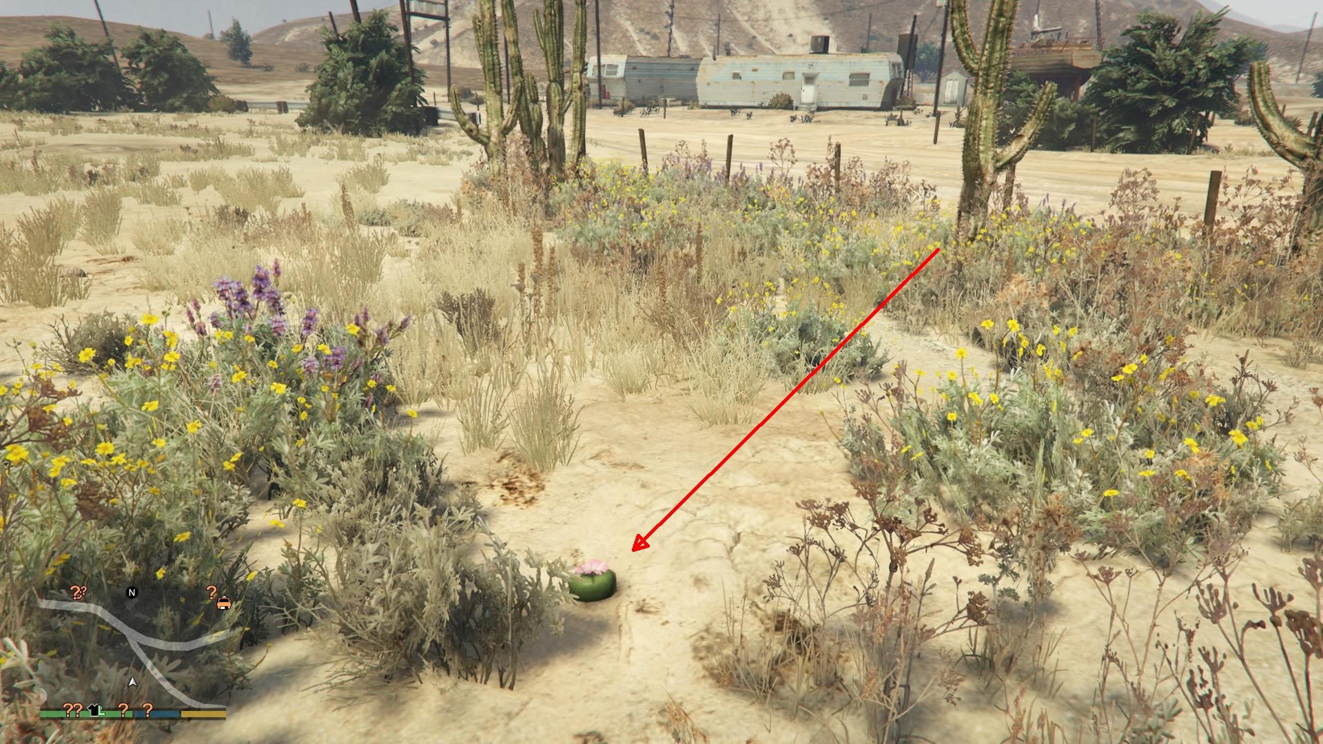 All peyote plants gta 5 фото 112