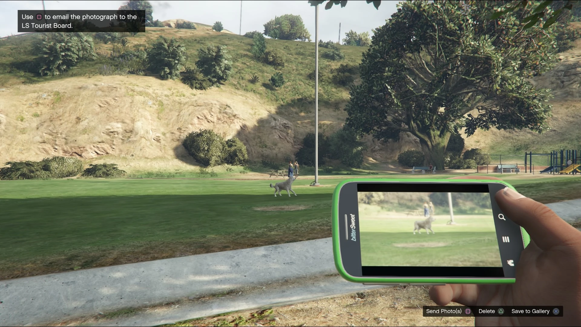 Image Wildlife Photography Challenge GTAVe Husky Vinewood Hills Dog