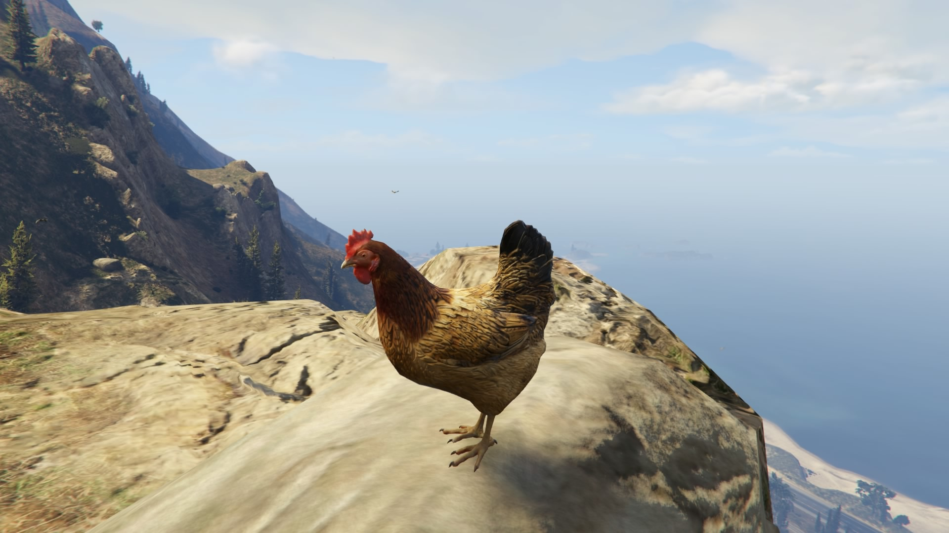 chickens gta wiki fandom