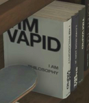 Tim-Vapid-books-GTAV