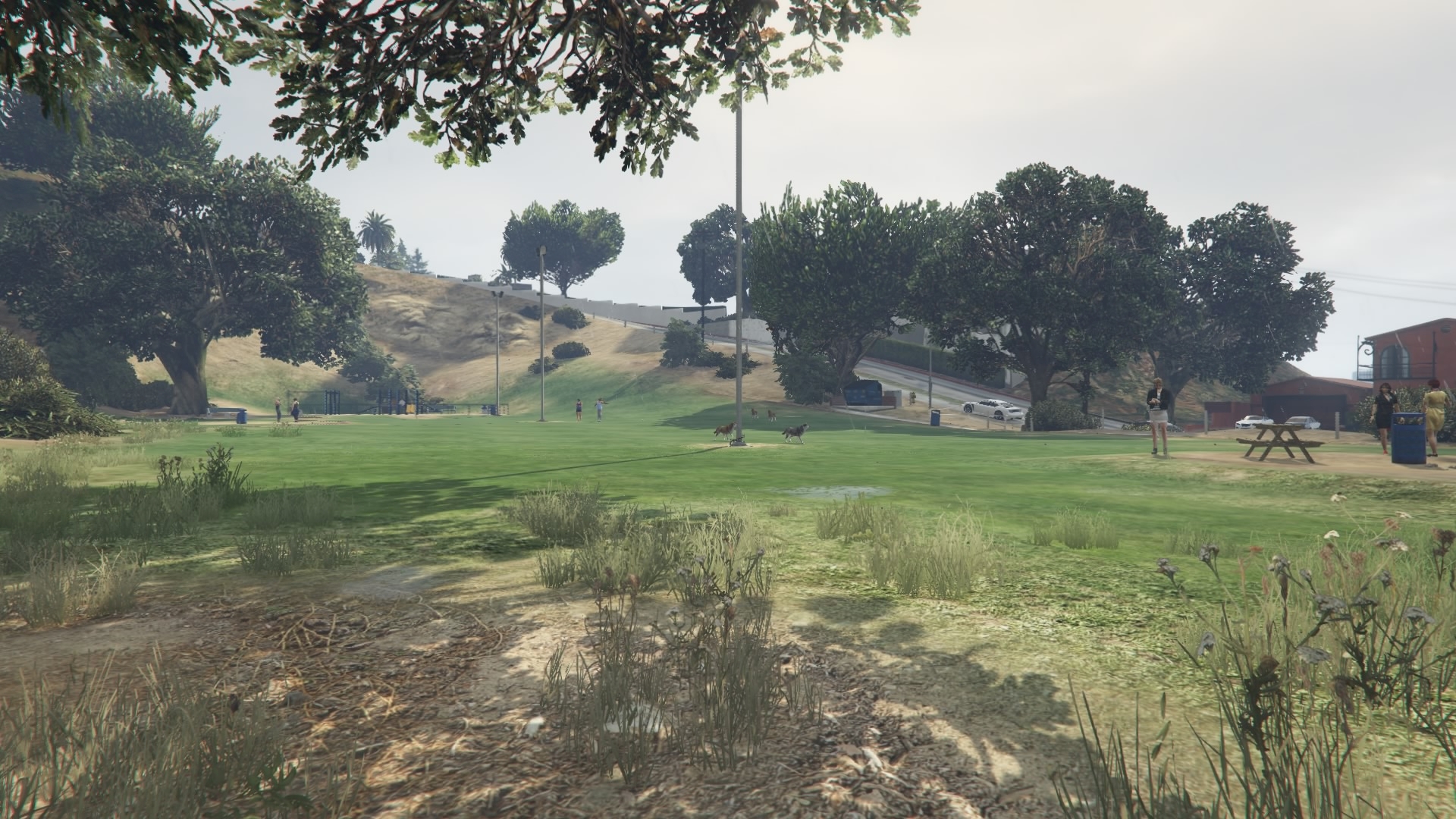 Vinewood Hills Dog Exercise Park GTA Wiki Fandom