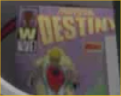Destiny