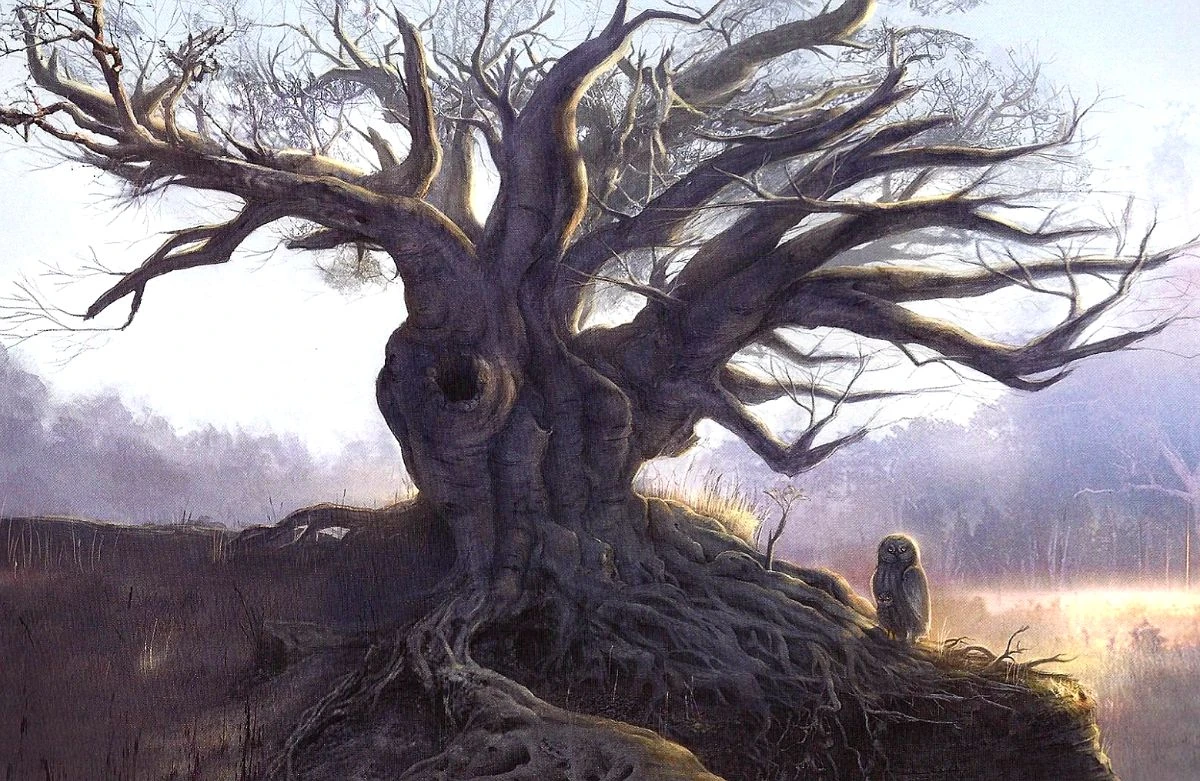 Ambala Guardians of Ga’Hoole Wiki FANDOM powered by Wikia