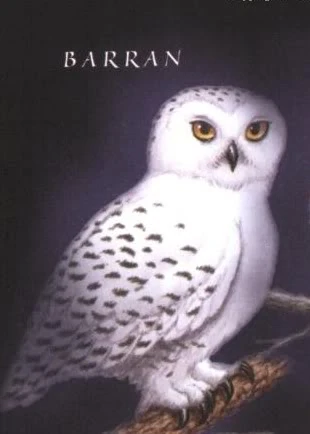 Barran Books Guardians Of Ga Hoole Wiki Fandom