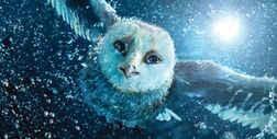 GaHooleBookJacket-Wide-560x282