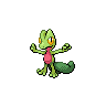 Treecko NB