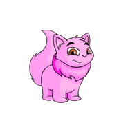 Pink Wocky.png (24 KB) Pink Wocky