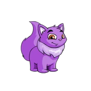 Wocky | Neopets Wiki | FANDOM powered by Wikia