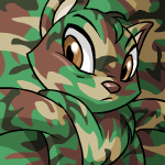 Camowocky.gif (11 KB) Camowocky