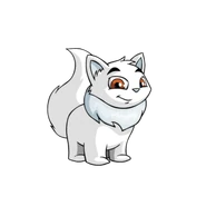White Wocky.png (21 KB) White Wocky