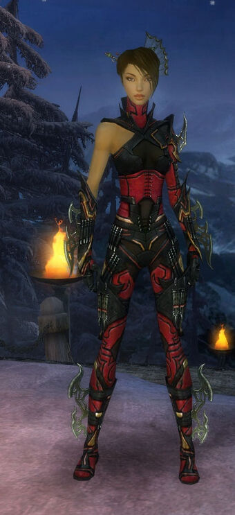Armure De Kurzick D Elite Assassin Guild Wars Wikia Fandom