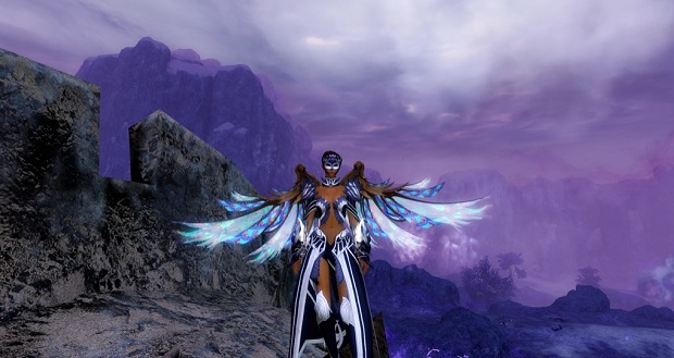 Guild wars 2 dps addon Guild wars 2 dps addon