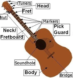 Anatomy of the Guitar | Guitar Wiki | FANDOM powered by Wikia