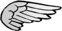 Wing