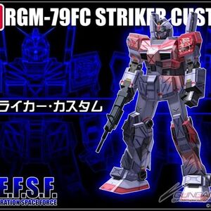 Rgm 79fc Striker Custom The Gundam Wiki Fandom