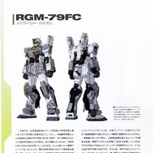 Rgm 79fc Striker Custom The Gundam Wiki Fandom