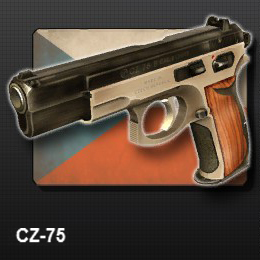 world of guns gun disassembly cz 75