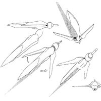 HUNTER System