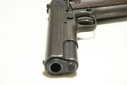 Colt