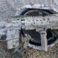 S 5 56 Gun Wiki Fandom