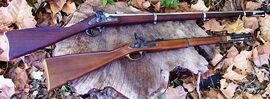Springfield Model 1861 vs Pattern 1861 Enfield