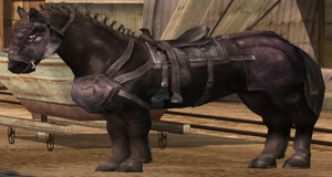 Reed's Horse