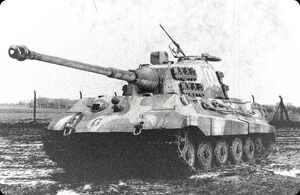 Tigerii008cw 19a