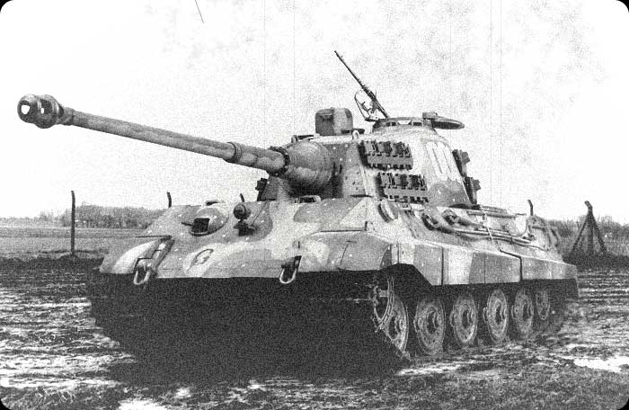 Tigerii008cw 19a