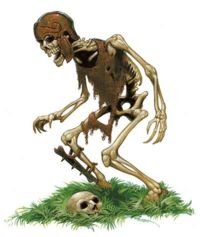 200px-Skeleton