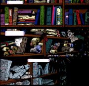 Infinate Library, contents