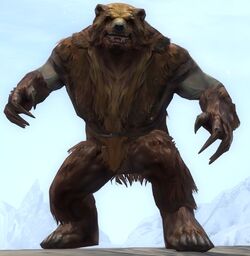 Become the Bear
